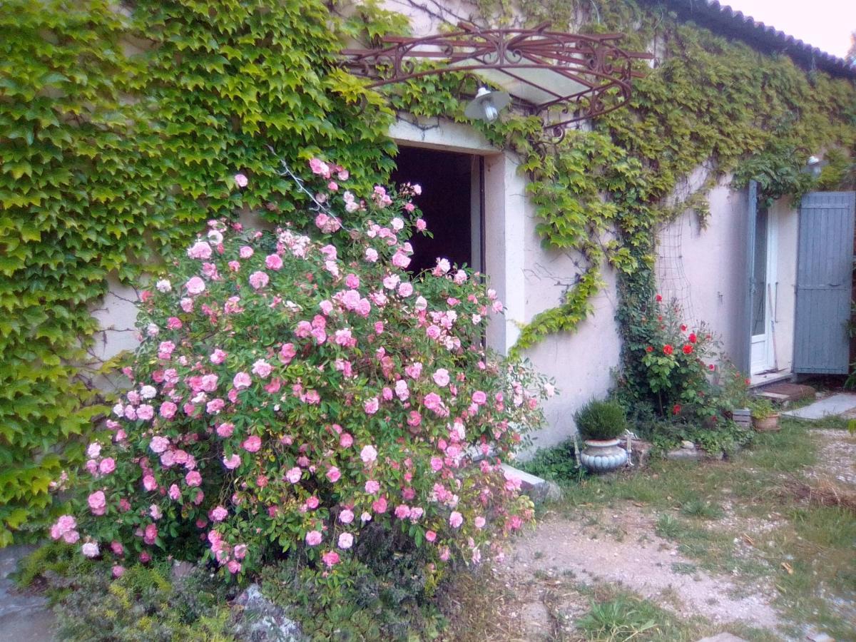 Le Domaine De Belle Acomodação com café da manhã LʼIsle-sur-la-Sorgue Exterior foto